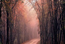 仅落后拜仁3分！阿隆索：只要能够保持冷静，我们就还有争冠机会.