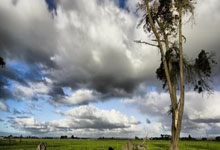 虎扑体育官网：每体：孔德已连续99次出场，其中为巴萨出场81次取得4球11助攻.