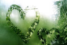 首秀仍需等待，劳尔-阿森西奥本月未获得机会代表国家队出战.