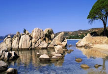 虎扑体育官网：罗马诺：博卡青年即将从毕巴签下埃雷拉；迪亚洛：想为曼联效力一辈子.